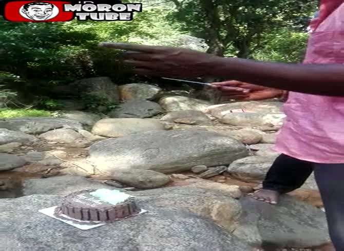 Video :A birthday is ruined by a very avaricious mischievous monkey